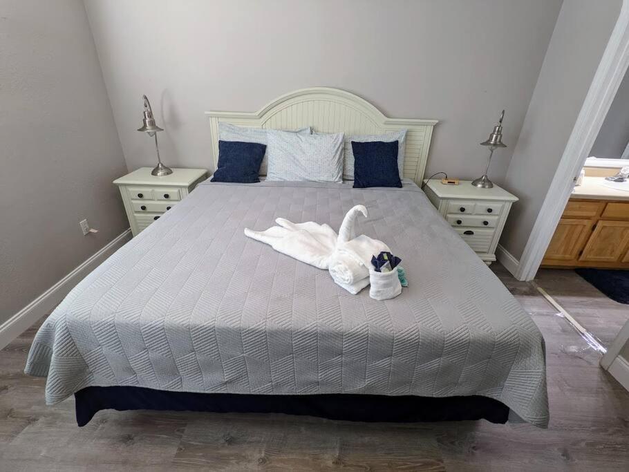 Nice & Cozy - Vacation Home Кіссіммі Екстер'єр фото